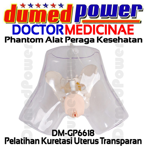 Phantom Alat Peraga Kebidanan Pelatihan Kuretasi Uterus Transparan DM-GP6618