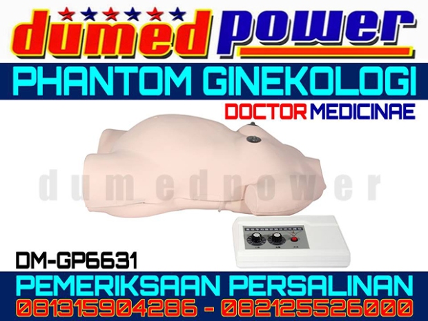 Alat Peraga Ginekologi Pemeriksaan Persalinan DM-GP6631